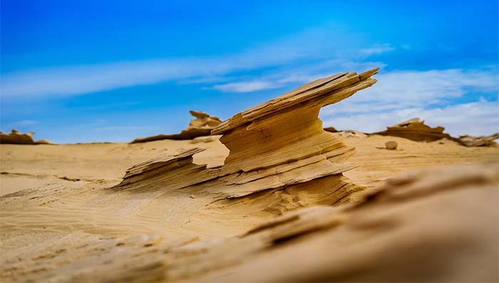 Fossil Dunes