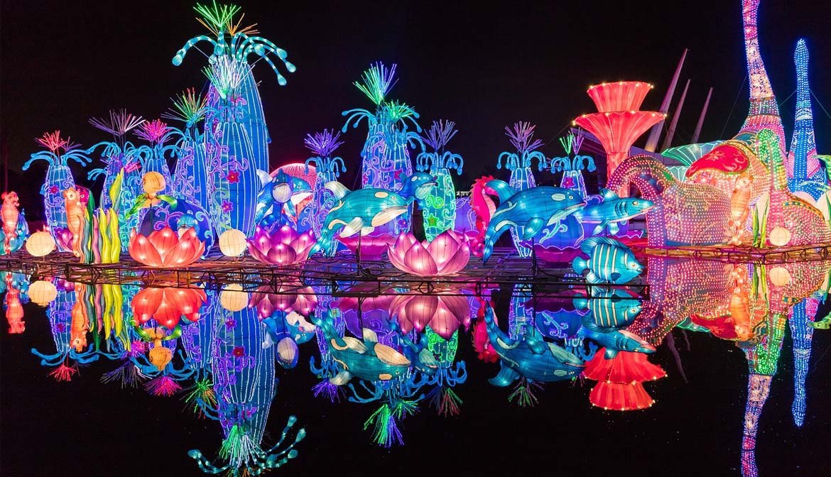 Dubai Garden Glow