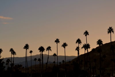 Visit Palm Springs