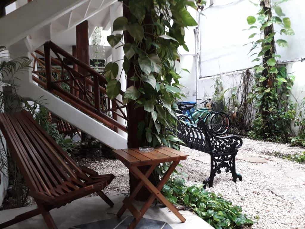 Estudios Selva 3