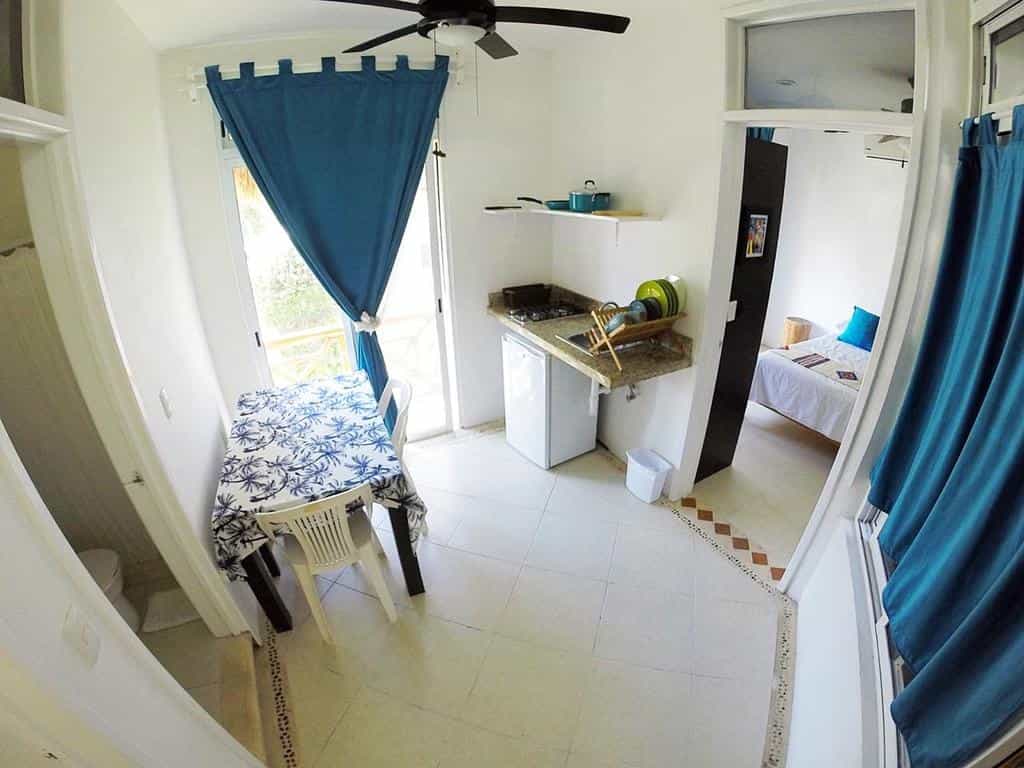 Estudios Selva 2