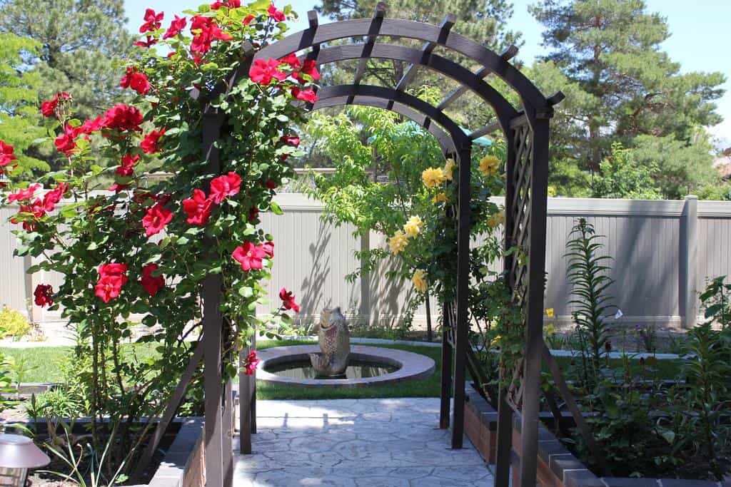 Sunny Garden 1